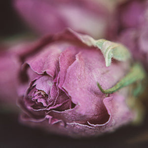Rose petals, whole